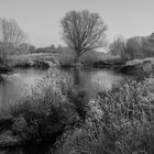 Die Lippe im Winter