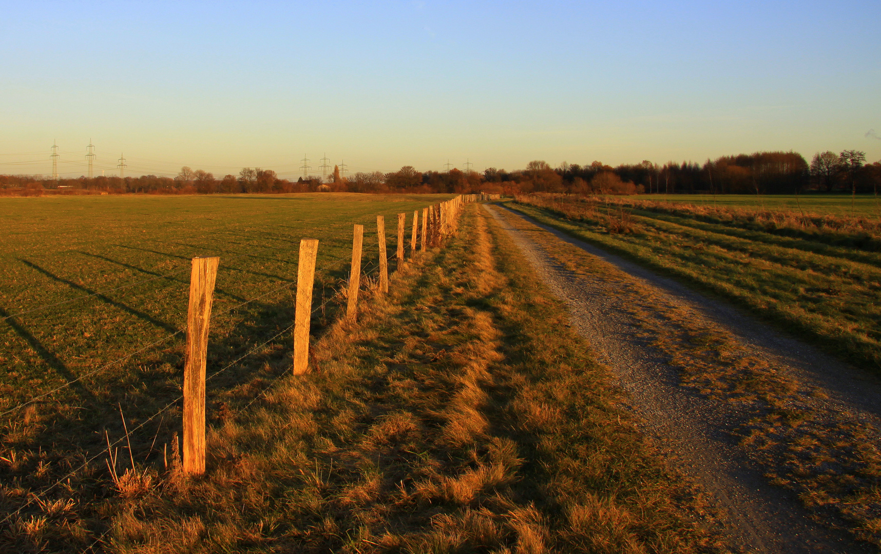 Die Lippeauen durchwandern und genießen