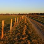 Die Lippeauen durchwandern und genießen