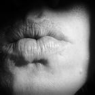 Die Lippen einer Frau sind das schönste Tor zu ihrer Seele.