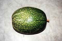 die lösung zur GURKENZUCCHINI