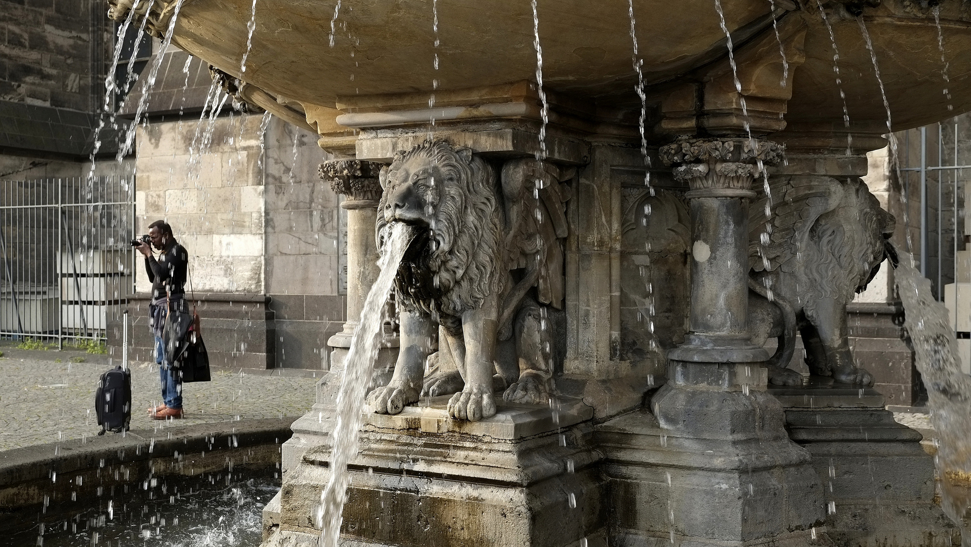 die Löwen am Dom