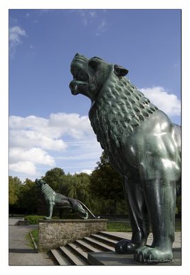 ...die Löwen...