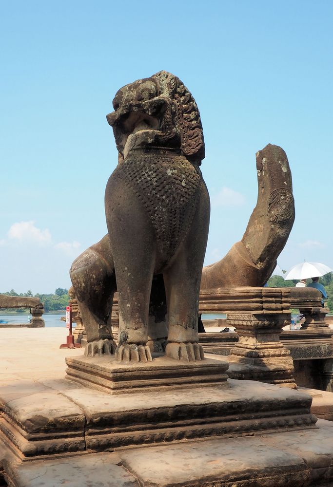 Die Löwen in Asien sehen immer unzufrieden aus.... Foto & Bild asia