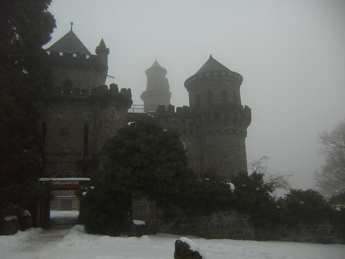 Die Löwenburg im Winter