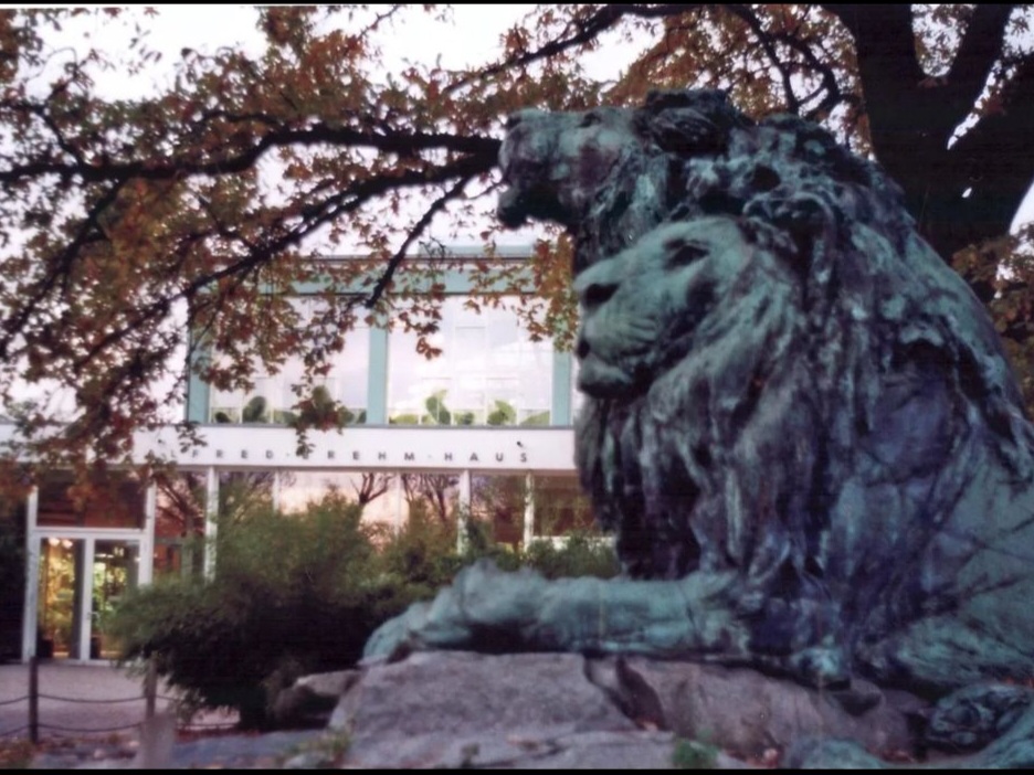 Die Löwenfiguren vor dem Alfred Brehm Haus 