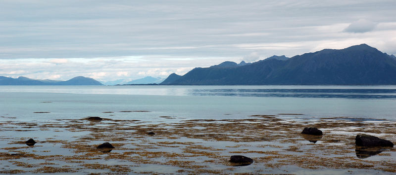 Die Lofoten