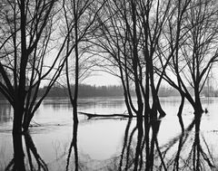 Die Loire im Winter