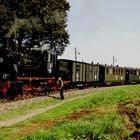 Die Lok 20 der Mansfelder Bergwerksbahn