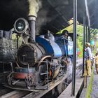 Die Lokomotive des Darjeeling Himalayan Railway wird startbereit gemacht