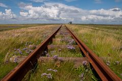 Die Lorenbahn von Langeness nach Dagebüll (I)