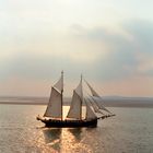 Die Luciana vor Terschelling