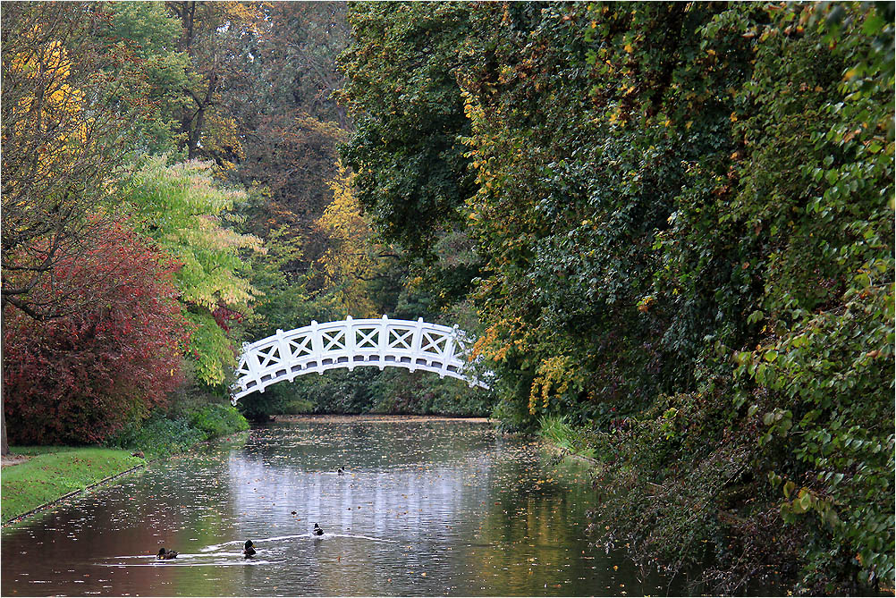 Die Lügenbrücke....