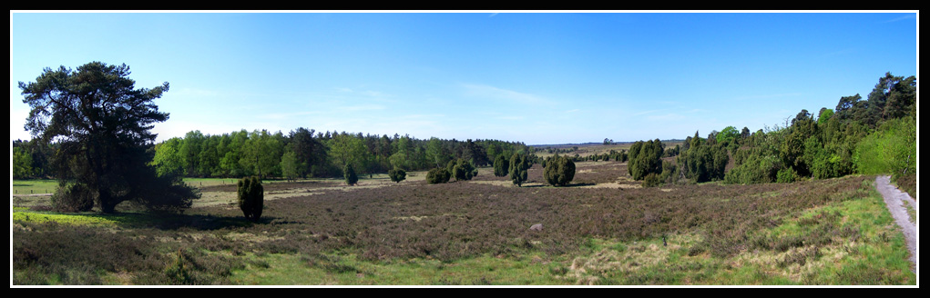 Die Lüneburger Heide