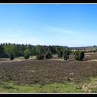 Die Lüneburger Heide