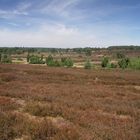 Die Lüneburger Heide