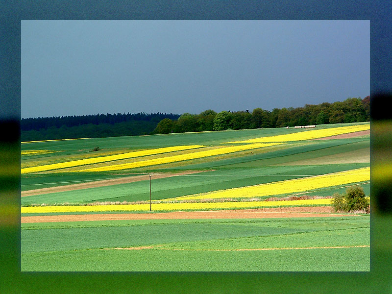 ... die Luft ist blau und grün das Feld ...