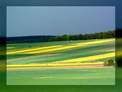 ... die Luft ist blau und grün das Feld ...