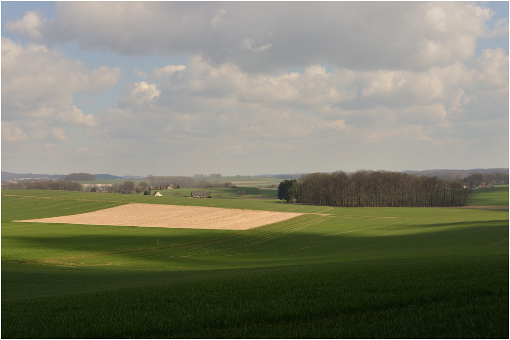 ... die luft ist lau und grün das feld ...