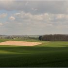 ... die luft ist lau und grün das feld ...