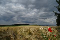 Die Luft schmeckt nach Sommer