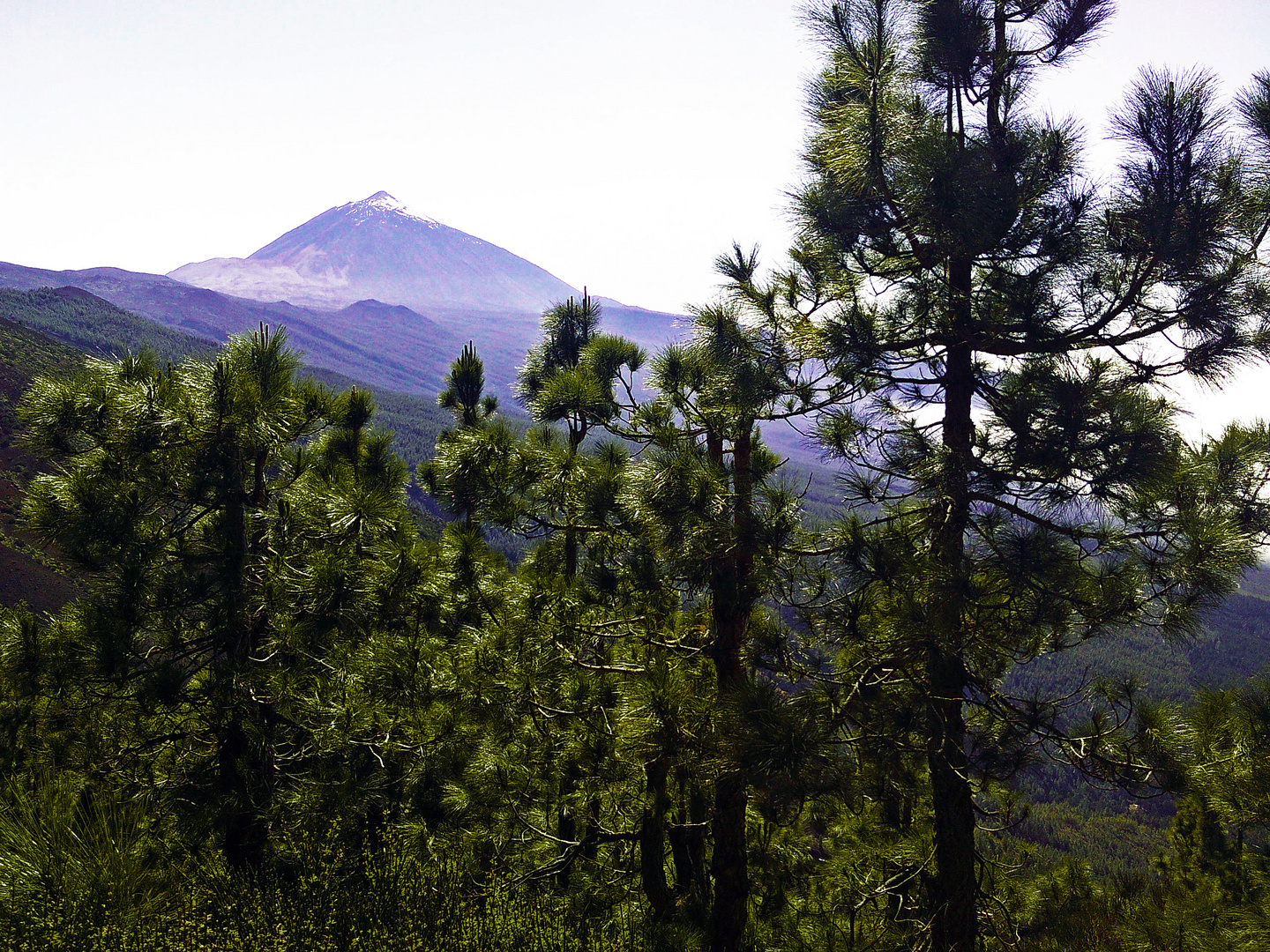 Die Lunge Teneriffas