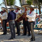 Die lustigen Musikanten am Strand