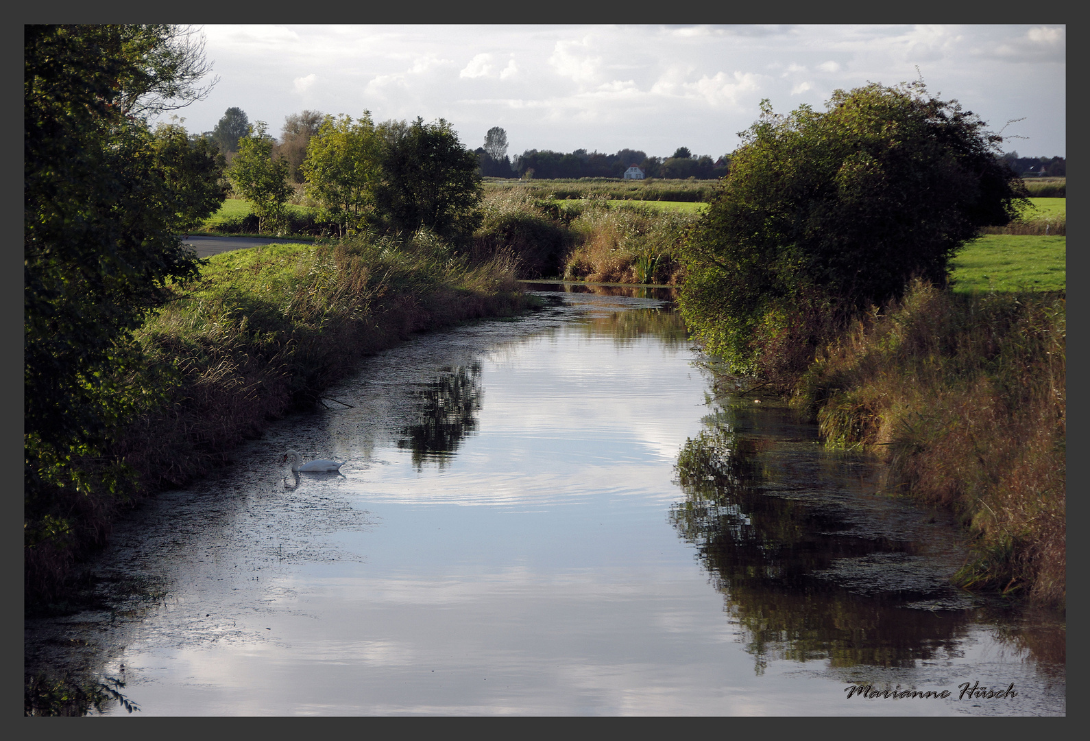 Die Maade Foto & Bild landschaft, bach, fluss & see, nordsee Bilder