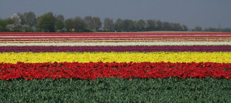 die Macht der Farben