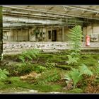 Die Macht der Natur - Lost Places VI