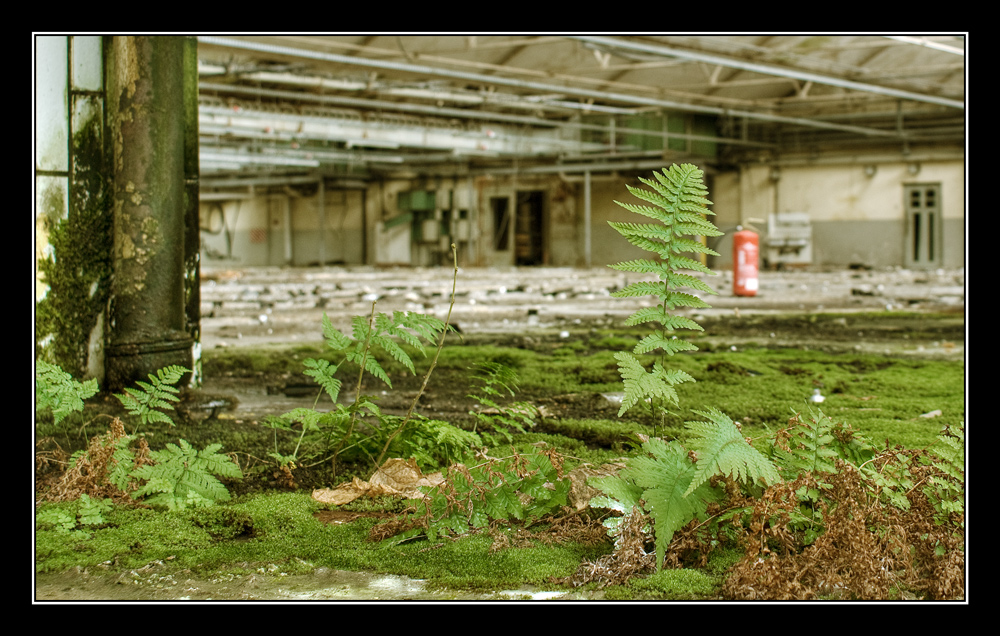 Die Macht der Natur - Lost Places VI