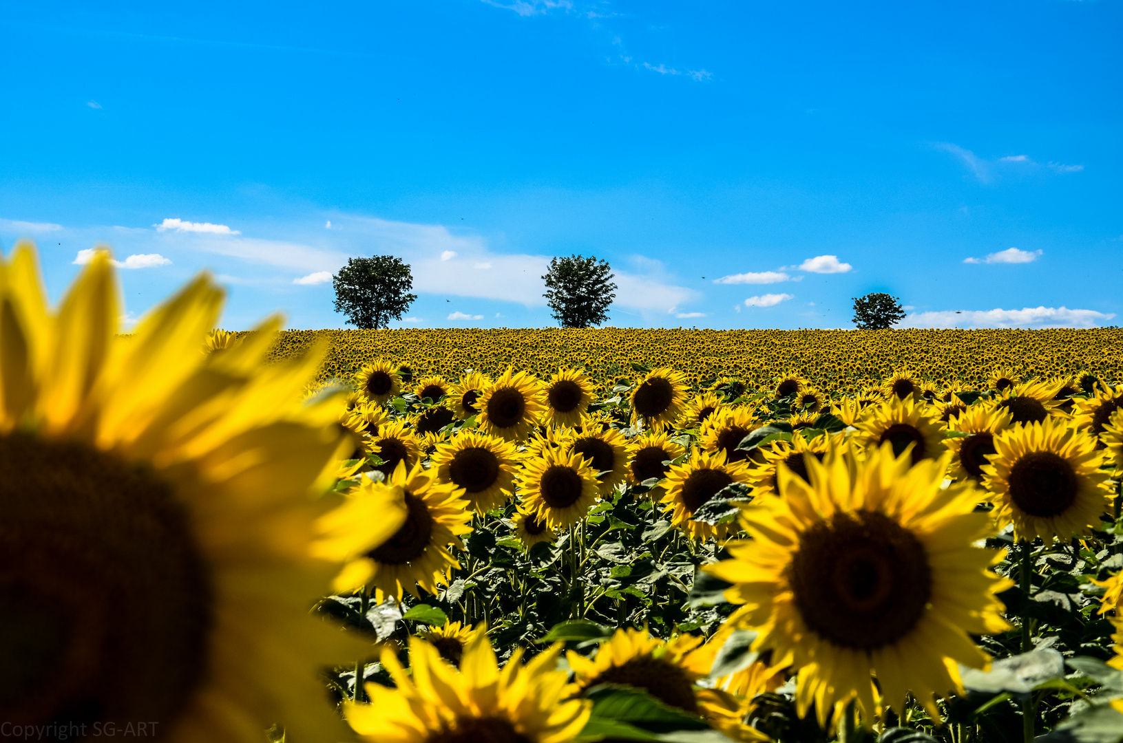 Die Macht der Sonne