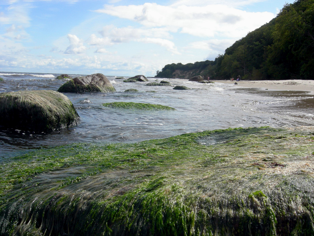 Die Macht des Wassers