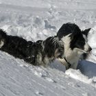 Die Mädels im Schnee