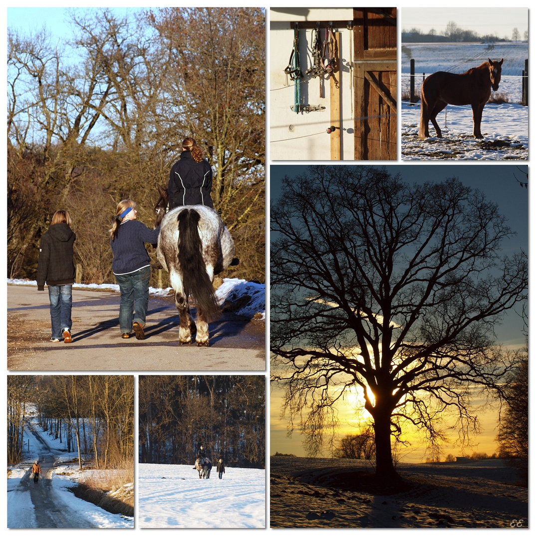 Die Mädels sind mit dem Pferd unterwegs