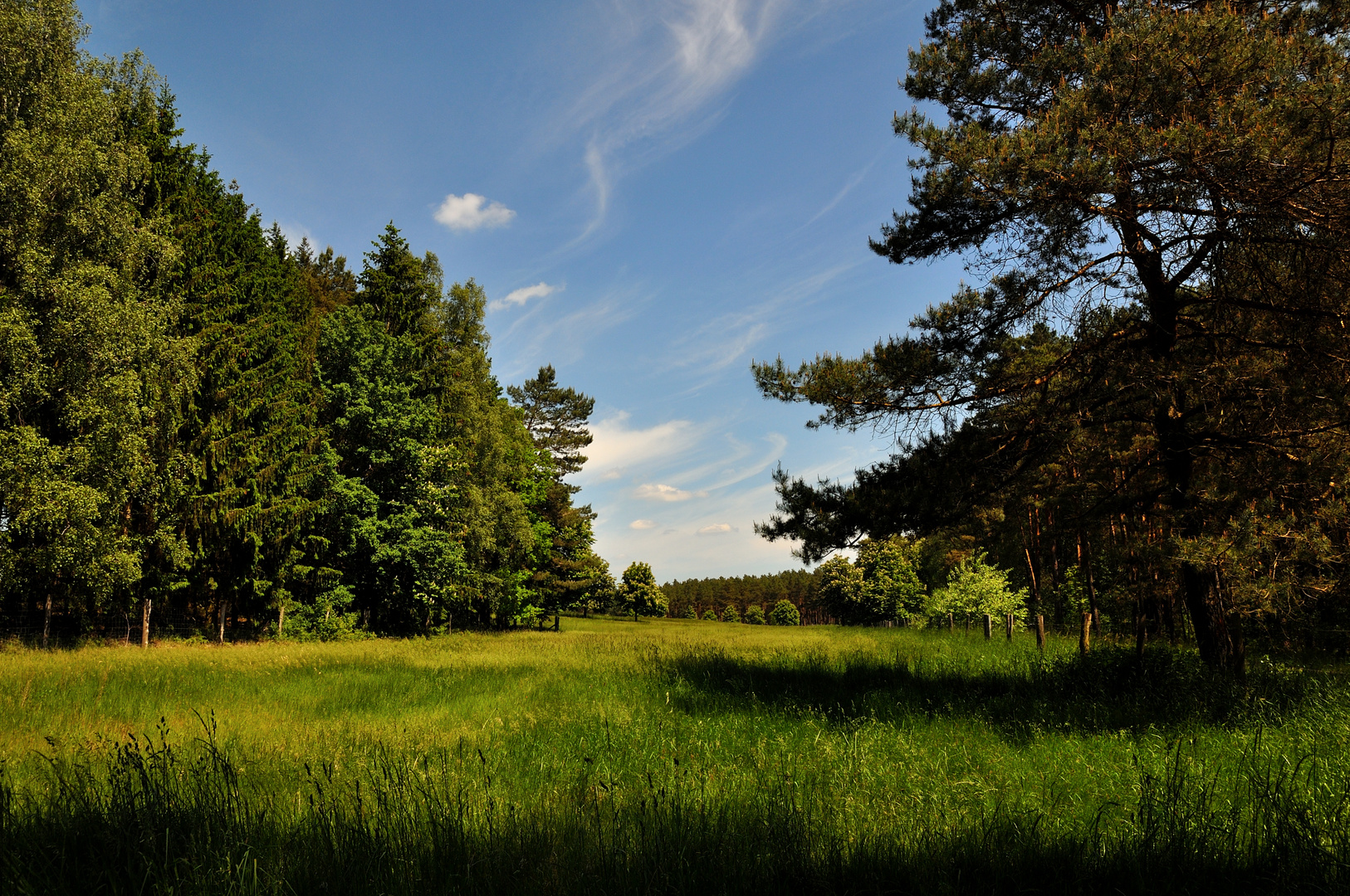 Die 'Märkischen Wälder