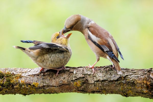 Die Magie des Augenblicks.. 