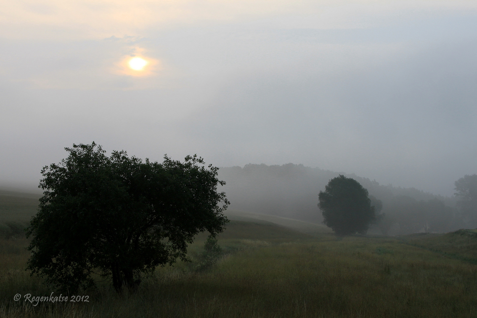 Die Magie des Morgens