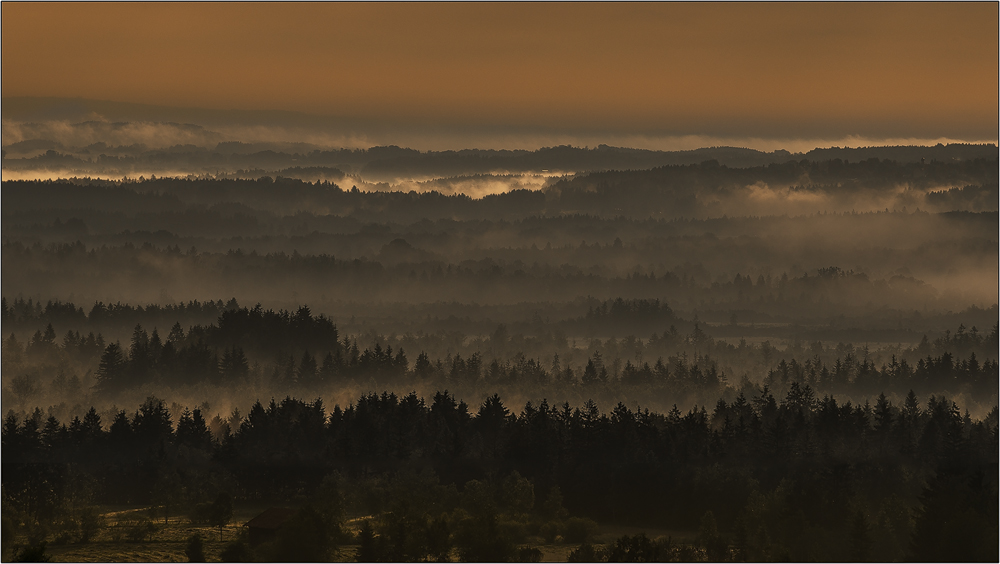 Die Magie von Licht und Nebel...