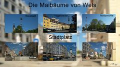 Die Maibäume von Wels