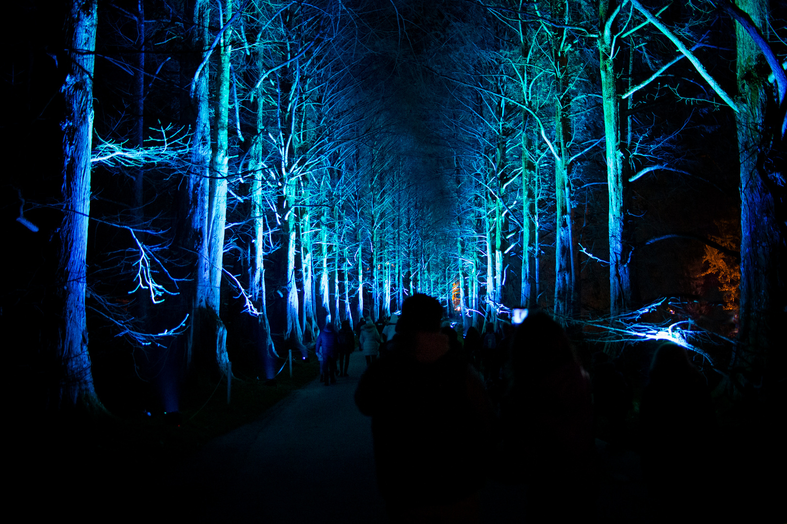 Die Mainau - mal ganz anders aber nicht weniger faszinierend