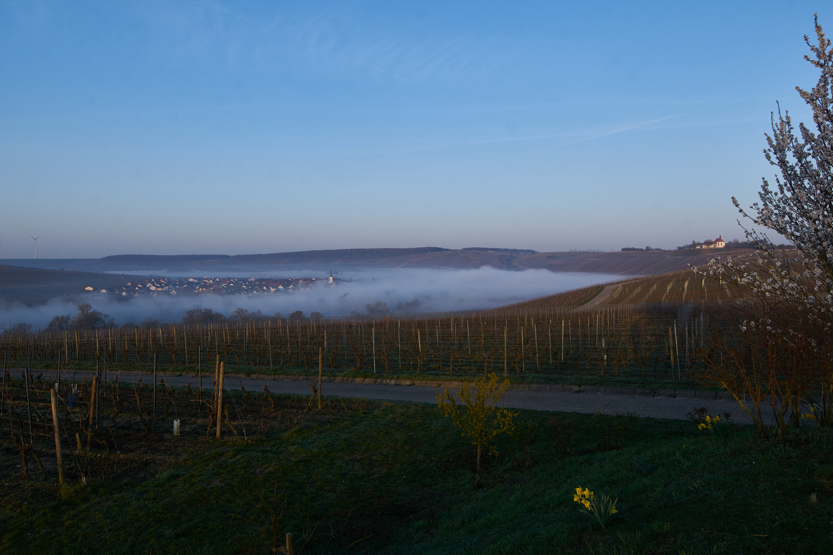 Die Mainschleife mit der Vogelsburg