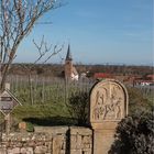 Die Mandelblüte in der Pfalz hat begonnen.