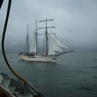 Die "Mare Frisium" auf der Hanse Sail Rostock 2011