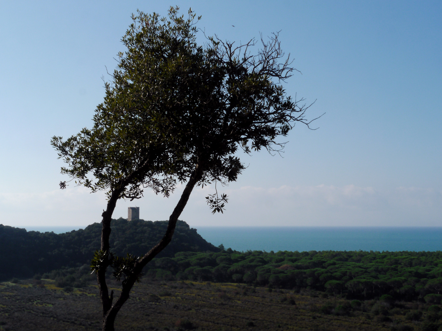 Die Maremma - Toscana