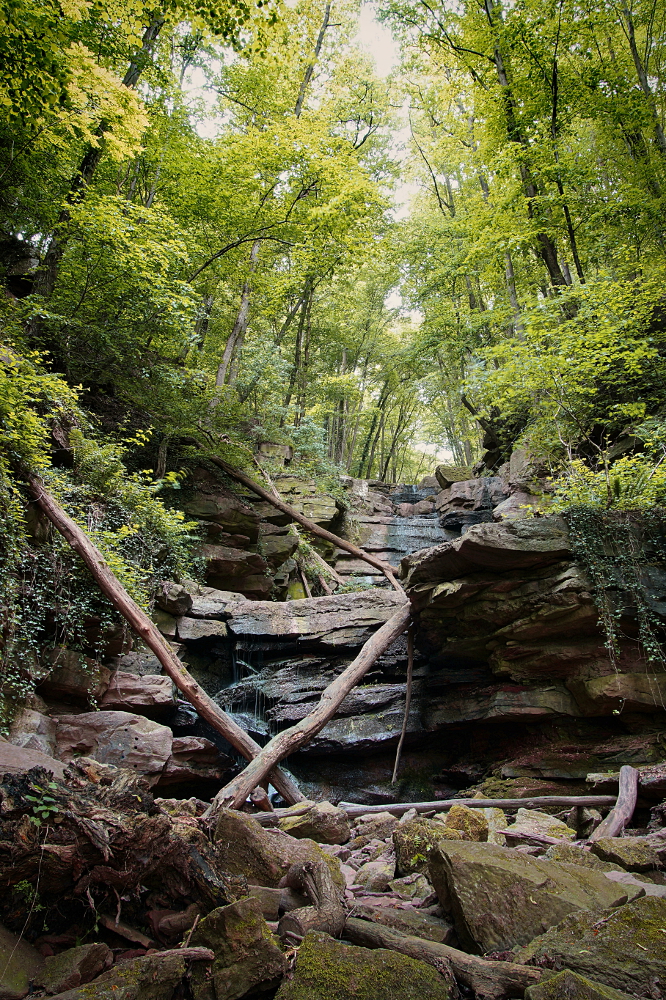 Die Margarethenschlucht bei Neckargerach