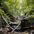 Die Margarethenschlucht bei Neckargerach