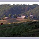 Die Marienburg Alf/Mosel