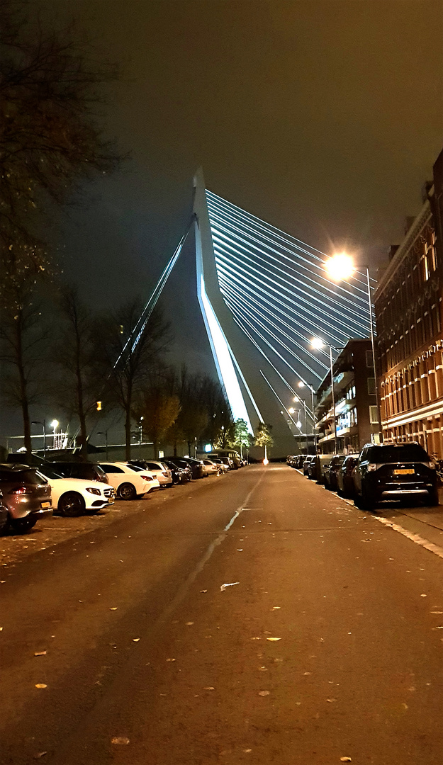 Die markante Brücke von Rotterdam