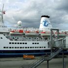 die Markopolo in Kiel